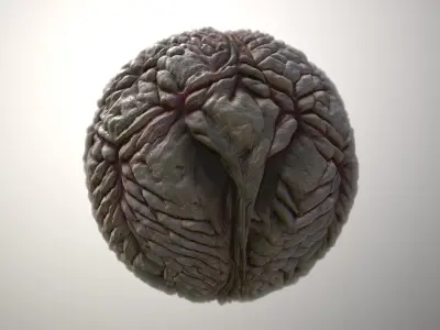 Material Skin Monster 19 Seamless PBR Texture Texture