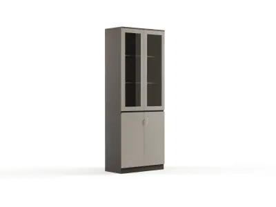 Modern Office High Cabinet File 2 For Staff  Free 3D model