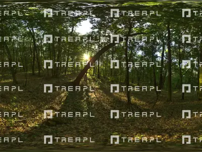 B09- HDRI SKIES TREAPL ATMOSPHERE - 360 SKIES Texture