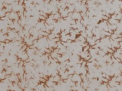 White Rusty Peeling Paint PBR Seamless Texture