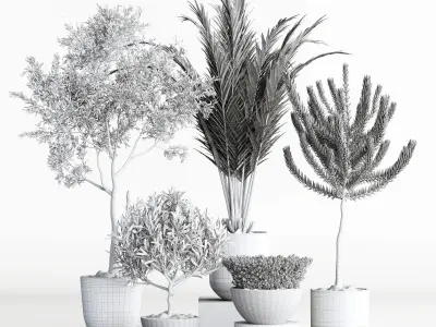 palnt set 02 3D model