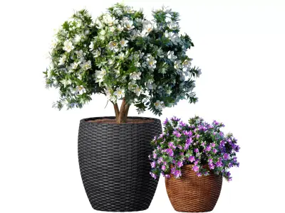 Decorative garden tree Magnolia shrub vase pot Provence style 3D model