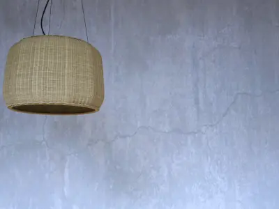 Flora Light Fixture 3D model
