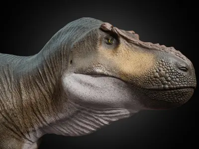 Tyrannosaurus rex Low-poly 3D model