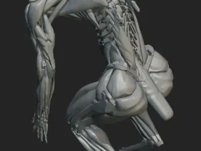 warrior-Skanda human skeleton 3D model