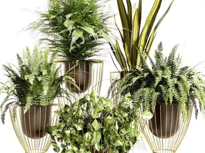 INDOOR PLANT SET 03 3D model