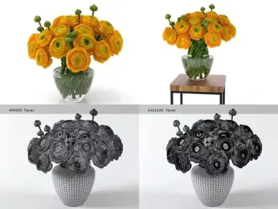 Orange Ranunculus 3D model