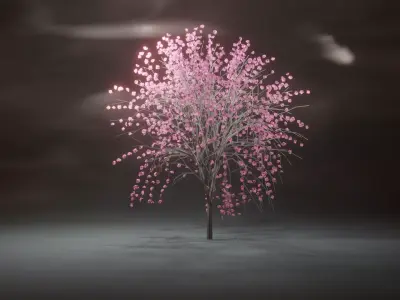 Model Japan Sakura Tree  Free 3D model