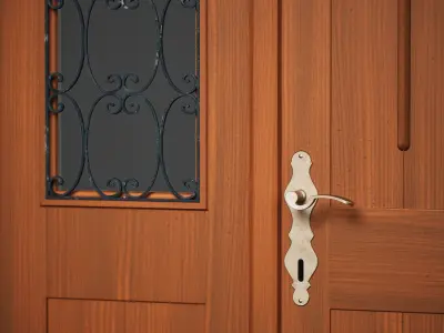 Wood Door 4 3D model