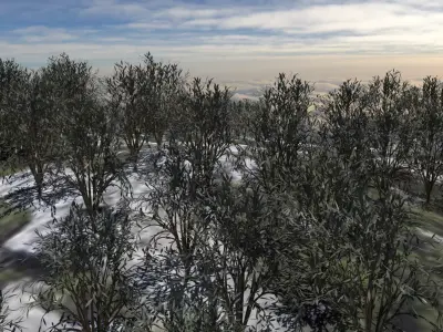 Forest Mountain Low-poly 3D model