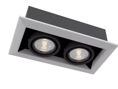 Downlight Metal Modern DL008-2-02-W Maytoni Technical Free 3D model