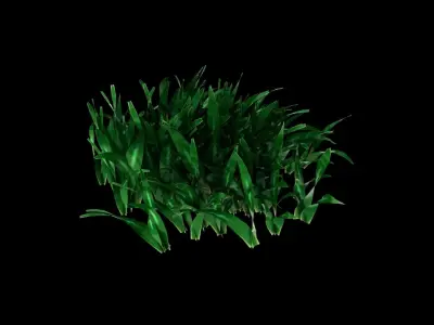 Grass Set Pack Lowpoly Free 3D model