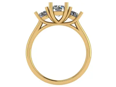 Round shape diamonds trellis ring 3D print model