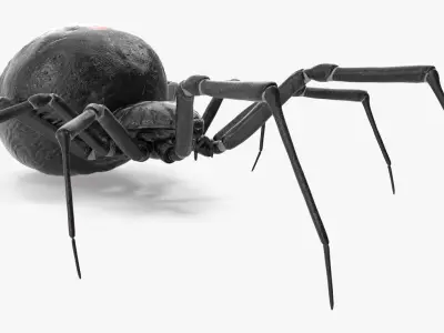  Black Widow Spider Rigged for Maya 