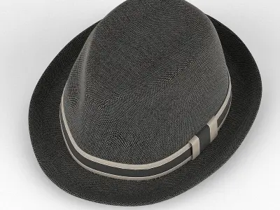 Hat 1 fedora 3D model