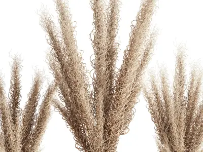 Dry Flowers Bouquet Vase 07 3D model