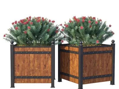 Street bushes in boxes II 3D model