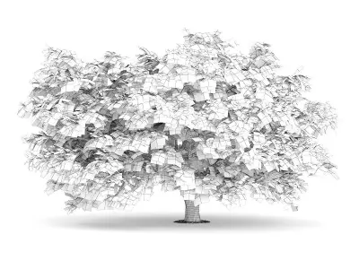 Japanese Maple Acer Palmatum 2 3D model