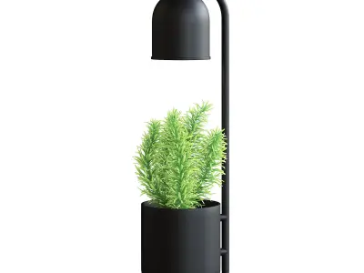 Desk Lamp with a Plant 3D model