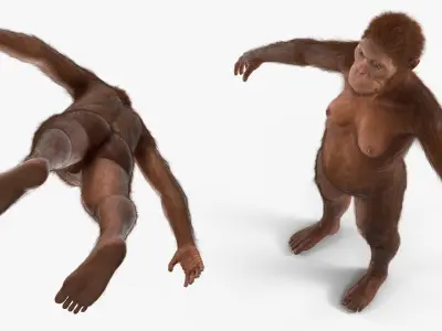  Life-Size Model of Prehistoric Hominin Female Fur for Maya 