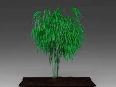 Decorative bamboo 3D model
