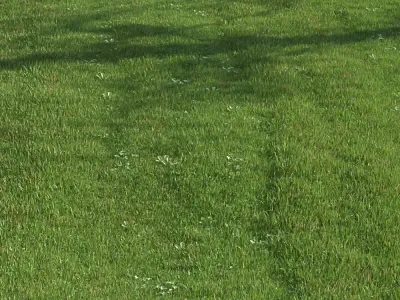 green lawn 3D model