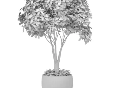 Decorative Indoor tree plant in a classic pot and flowerpot 3D model