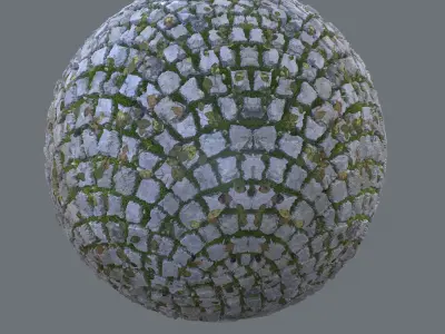 Pavement with leafs moss and twigs  Texture