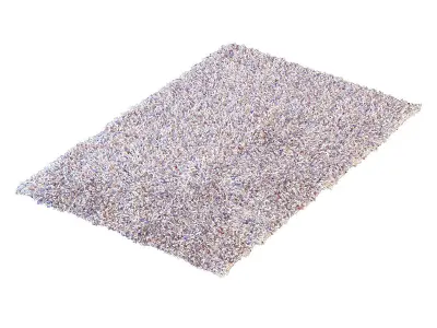 Carpets shag rug 3D model