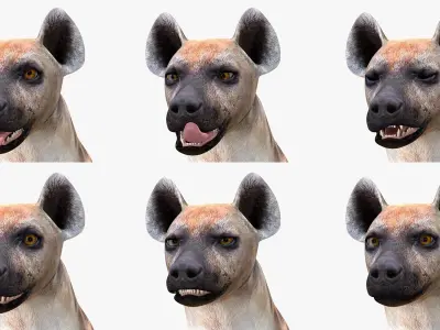  African Mammals Rigged for Maya Collection 3 