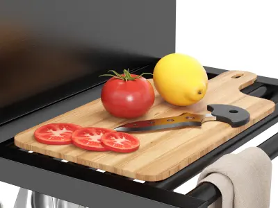 Barbecue 17 3D model