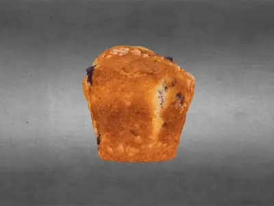 Blueberry Muffin 3D model