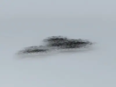 Highway cat in snow Free 3D model