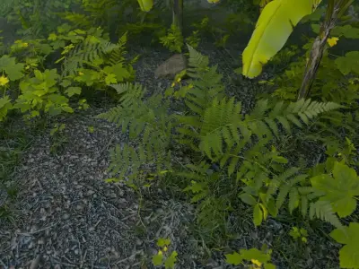 REALISTIC JUNGLE ENVIRONMENT 3D model