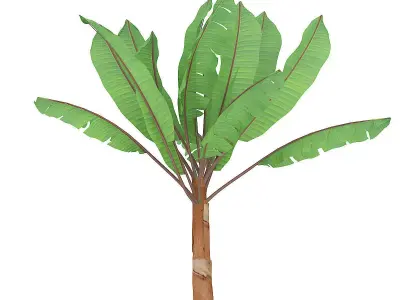 Banana Plant 3D model