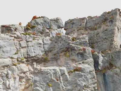 Huge Boulder Cliff Drone Scan PBR Low-poly 3D model