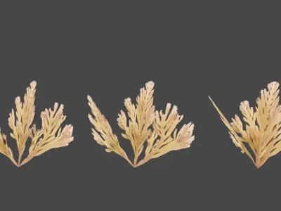 Ocean 4K 3d Plant 3D model