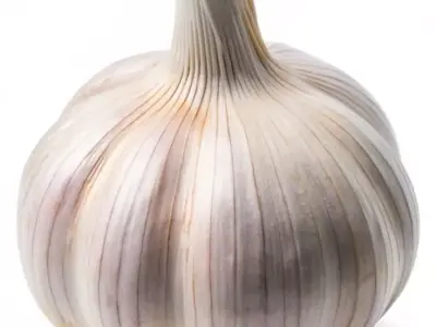 Ultra-Realistic Garlic Bulb 3D Model Fresh Allium Detailed  Low-poly 3D model