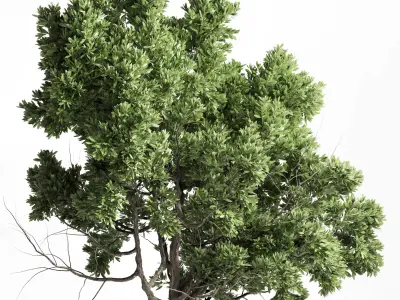 Urban Environment Urban Furniture Green Benches 3D model