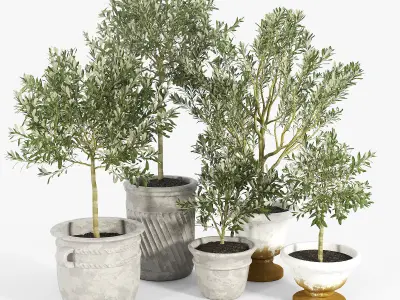 Eclectic Villa Planters 2 3D model