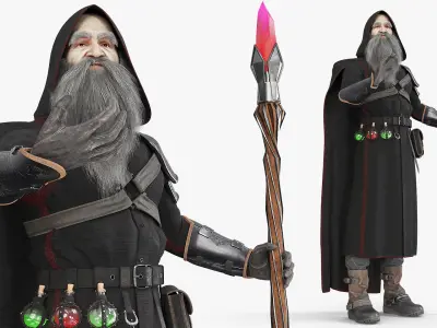  Character Dark Wizard Rigged 