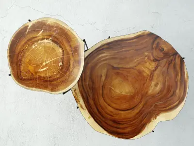 Wood Slice Coffee Tables 3D model