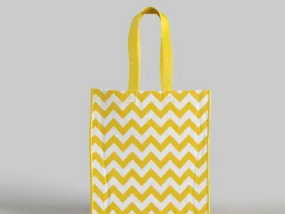 Reusable Bag 3D model