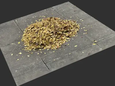 Leaves on the ground 3d scan 3D model
