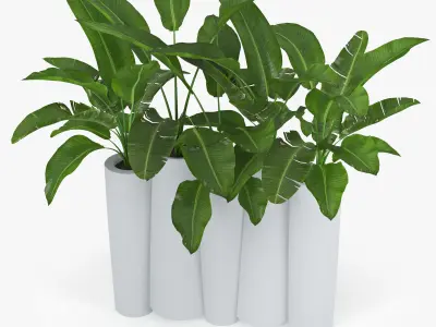 bamboo Progettato dallo studio francese Tous Les Trois banana 3D model