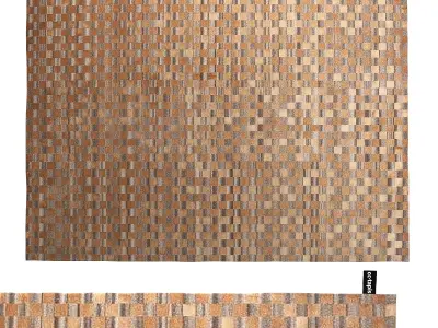 Damier Rug - Dark Copper 3D model