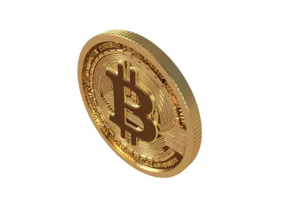 Bitcoin v7 005 3D model