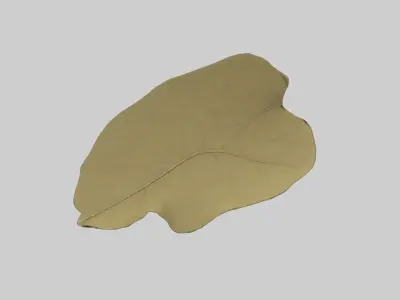 Leaf Model Low-poly 3D model purchase