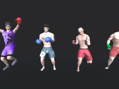 Boxing Animations Low-poly 3D model