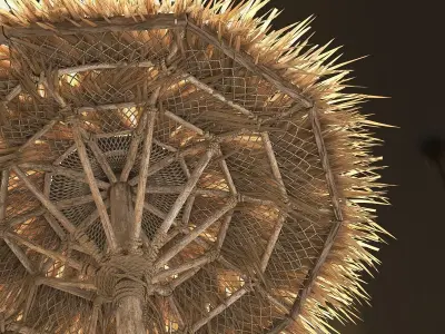 Beach Thatched Umbrella 3D model